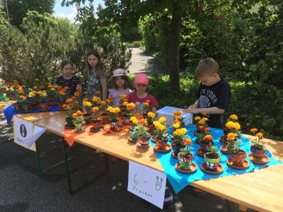 Veloputz-Aktion und Blumenverkauf